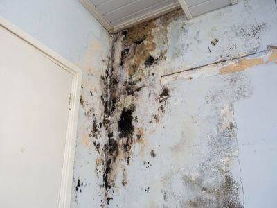 About water damage restoration service - burst pipe water damage experts in Broad Run
