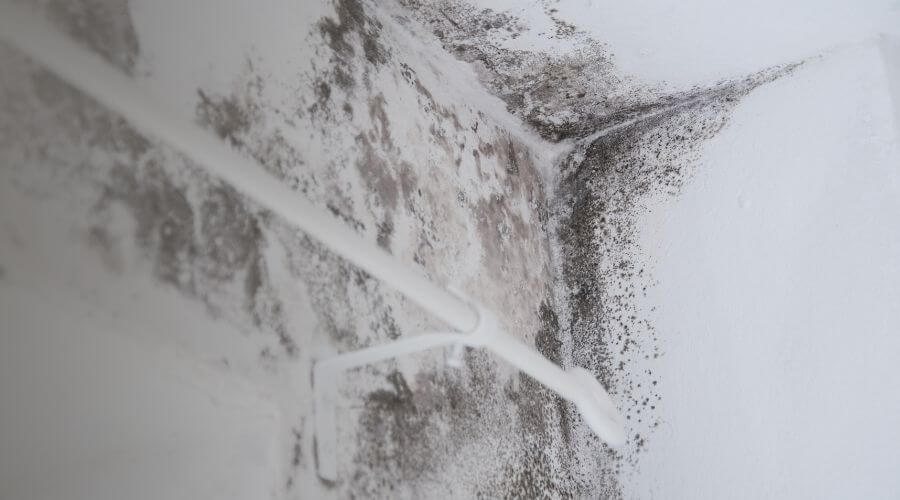 Why choose water damage restoration service for burst pipe water damage in Broad Run